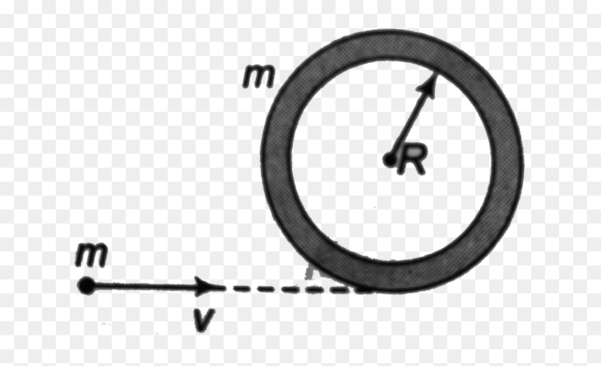 Circle, HD Png Download - circular image png