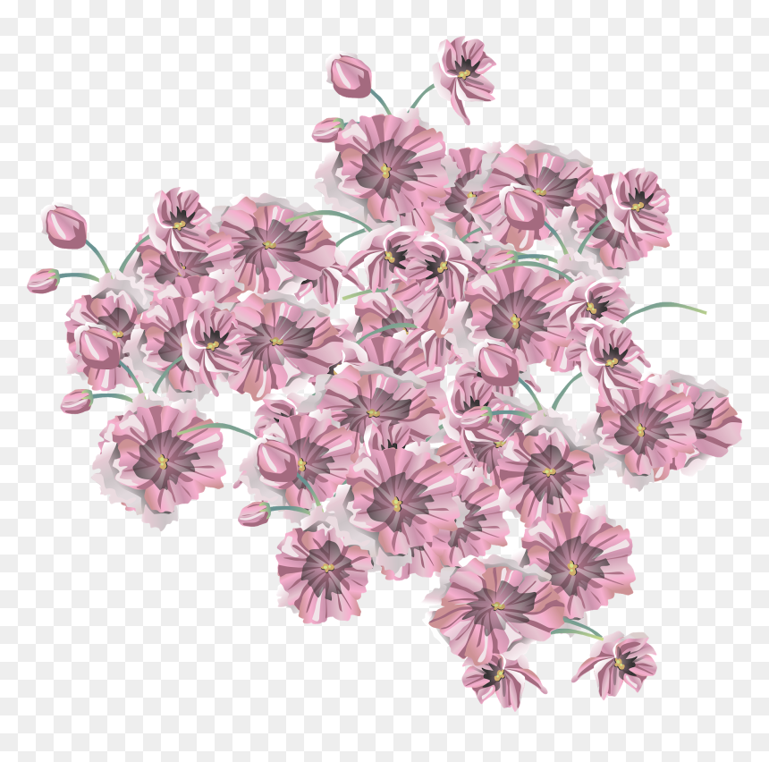 Vector,vector Flower,vector Art,vector Ornament,floral,vector - African Daisy, HD Png Download - pink vector flowers png