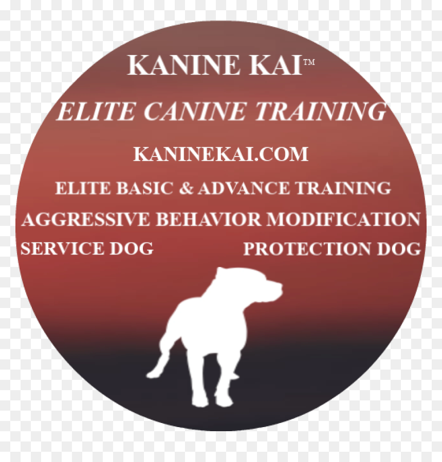 Image3 - Companion Dog, HD Png Download - service dog png