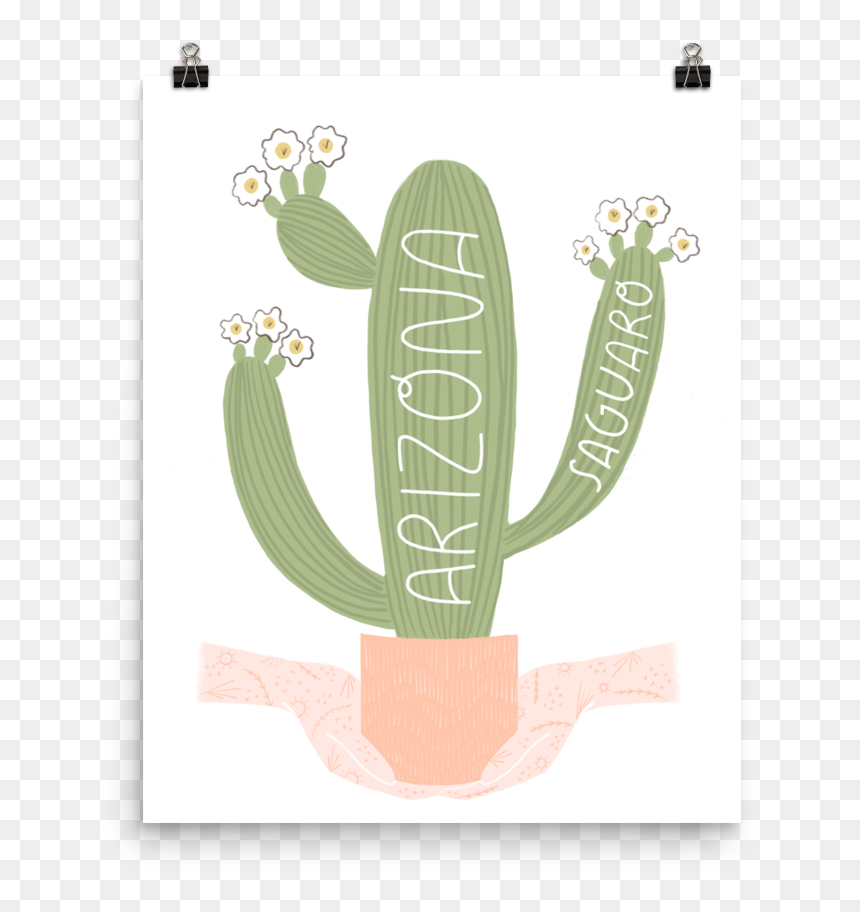 Flowerpot, HD Png Download - arizona state png
