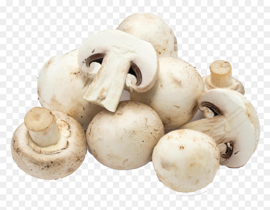 White Mushroom, HD Png Download - mushroom png