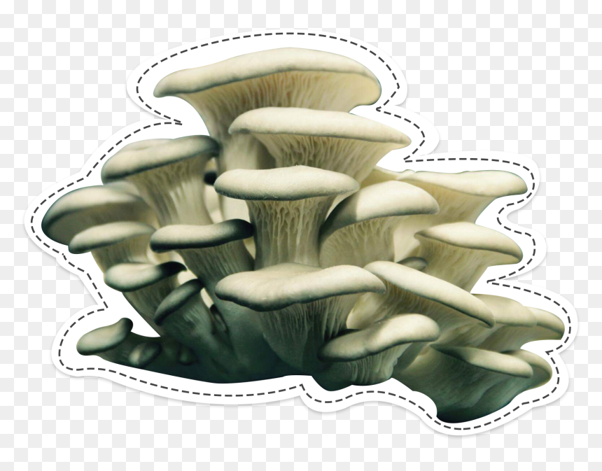 Mushroom Png, Transparent Png - mushroom png