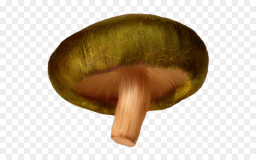 Portable Network Graphics, HD Png Download - mushroom png