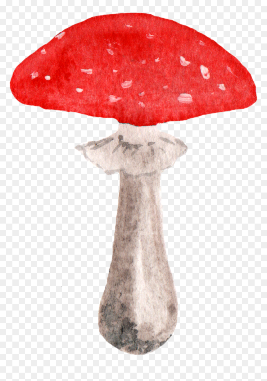 Mushroom Png, Transparent Png - mushroom png