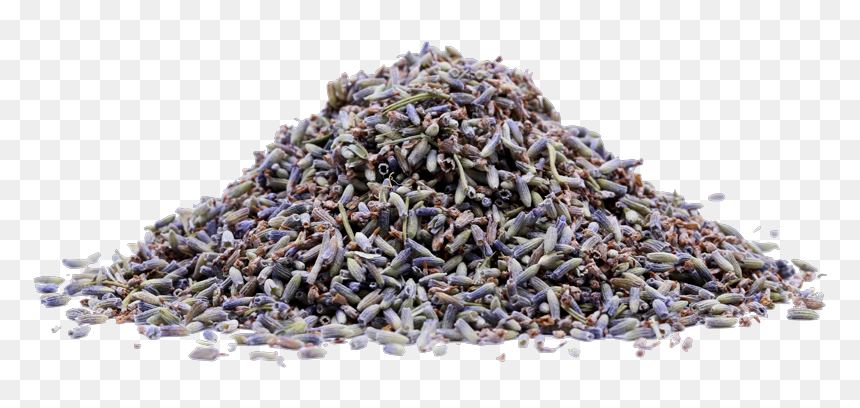 Sesame, HD Png Download - lavender png