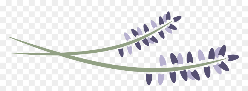 Lavender Logo Png, Transparent Png - lavender png