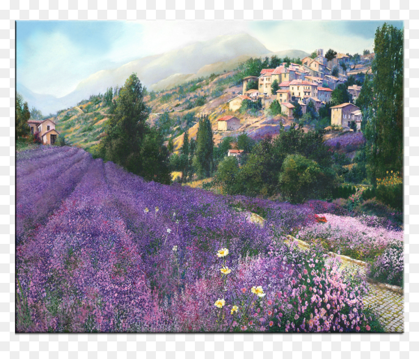 Lavender Field Canvas Painting, HD Png Download - lavender png