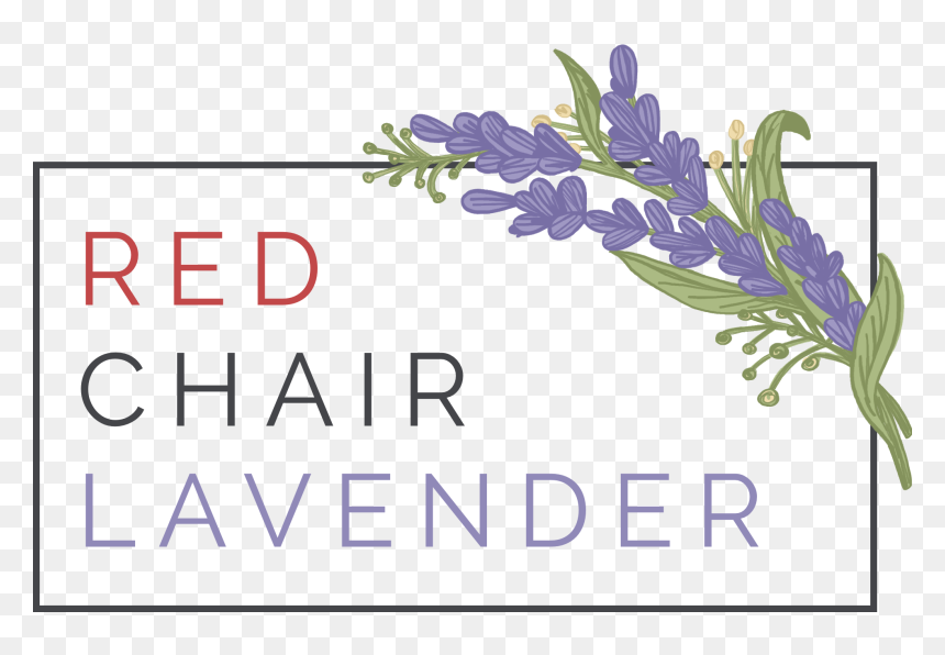 Delphinium, HD Png Download - lavender png