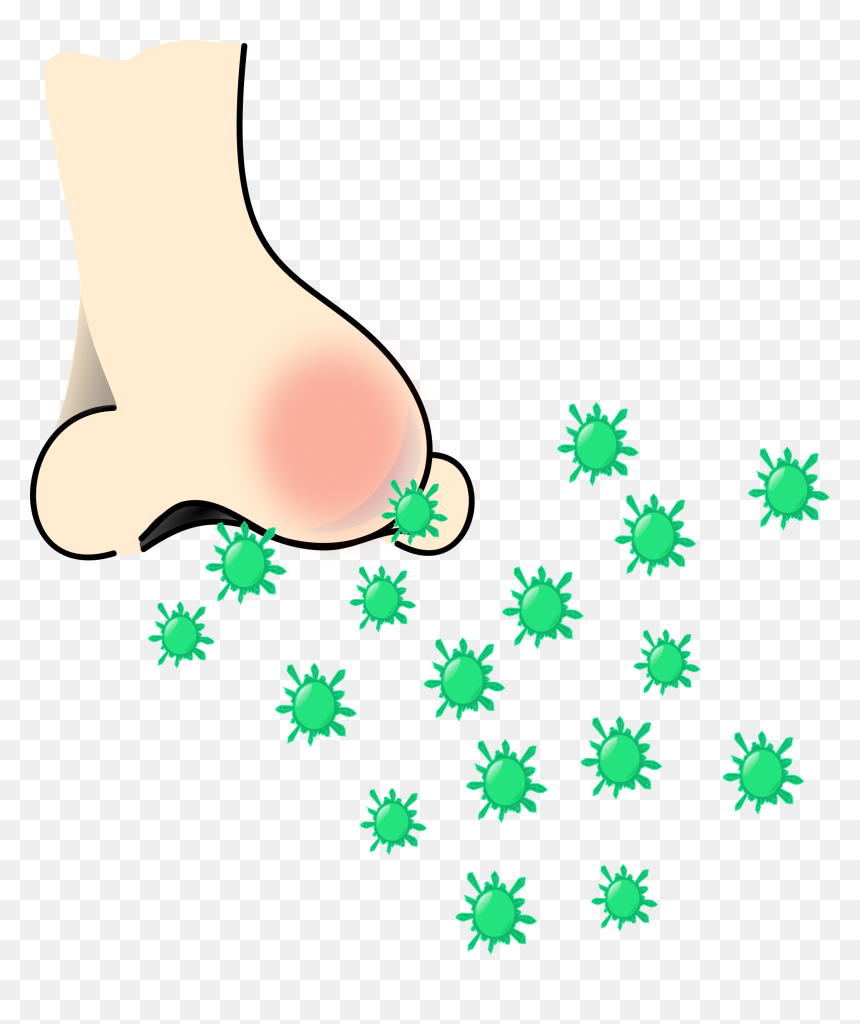 Rhinorrhea, HD Png Download - nose png