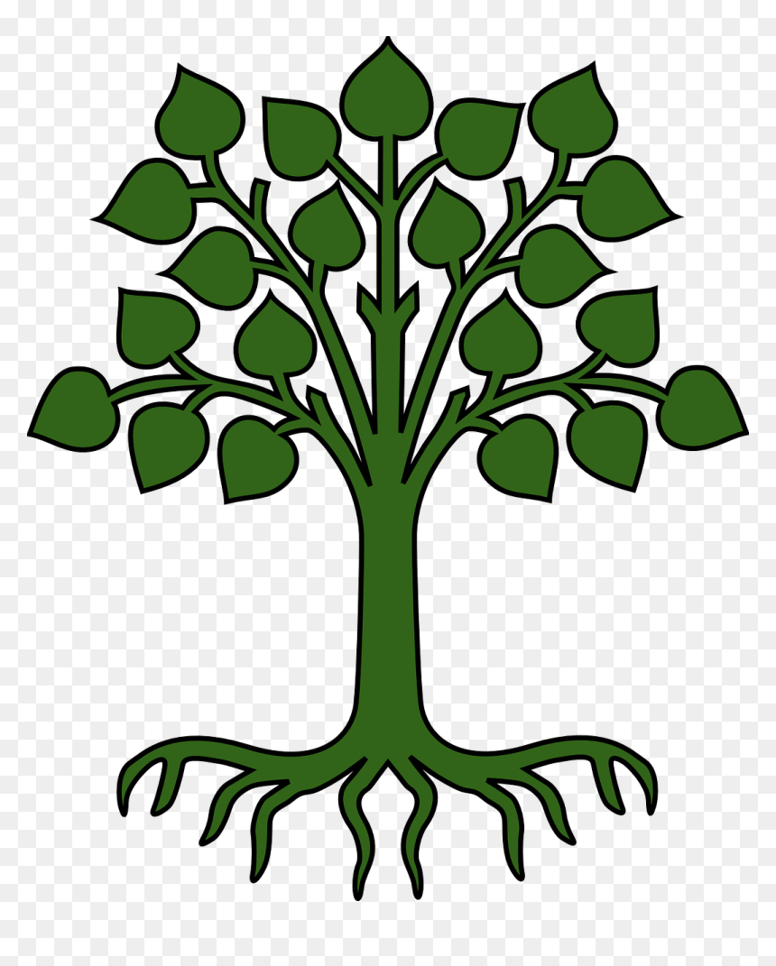 Child Care, HD Png Download - roots png