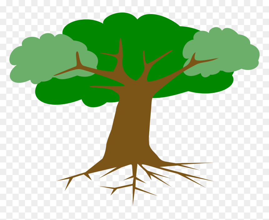 Arbol Con Su Raiz, HD Png Download - roots png