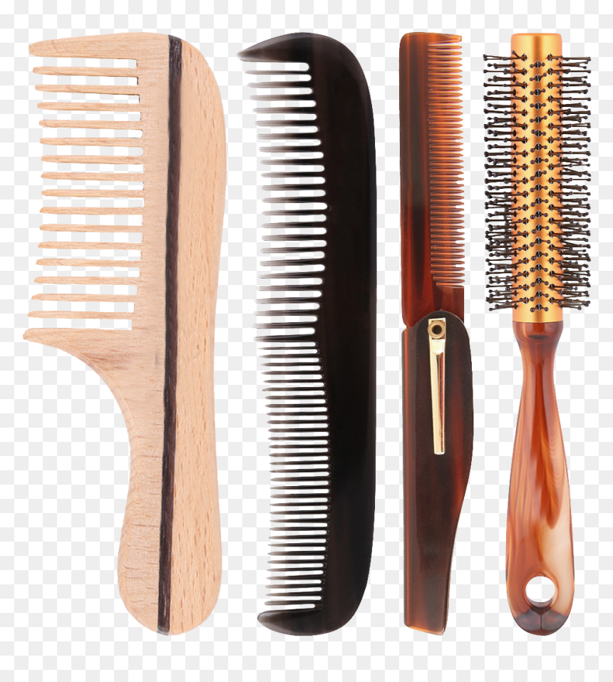 Brush, HD Png Download - roots png