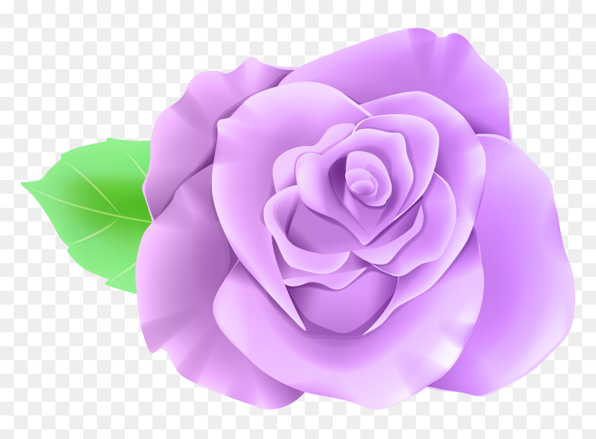 Transparent Background Blue Rose, HD Png Download - lavender png