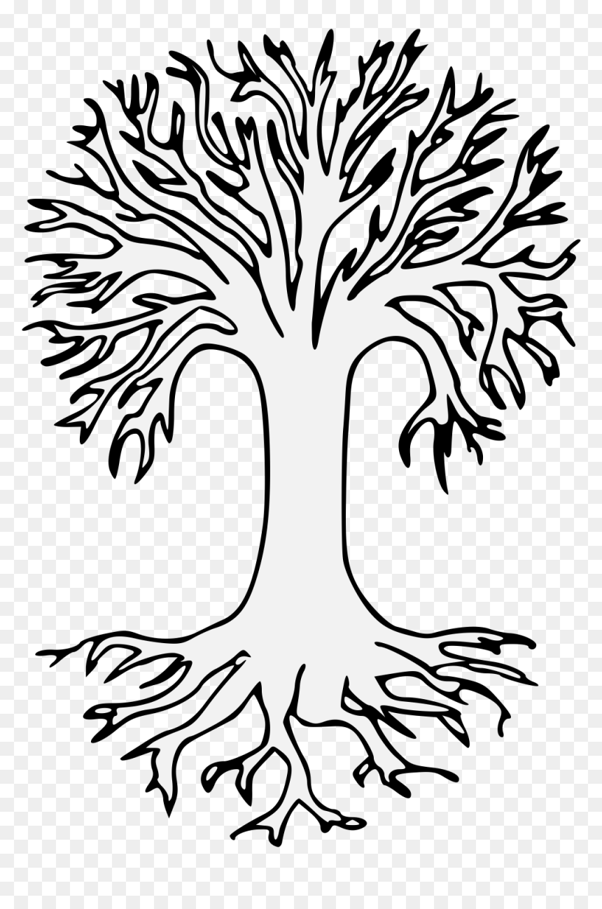 Transparent Background Roots Tree, HD Png Download - roots png