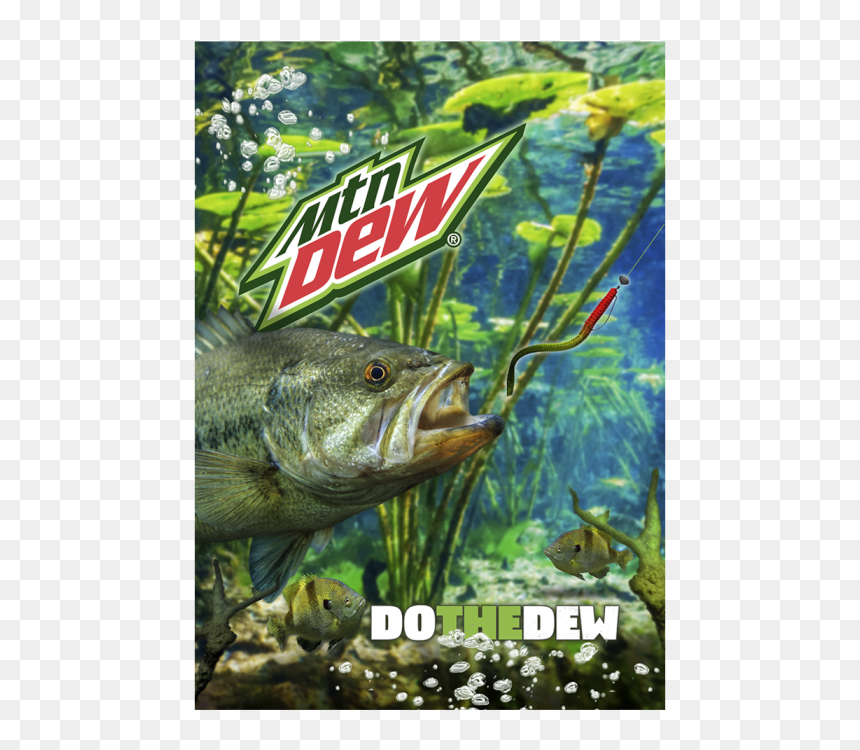 Mt Dew Fishing Boat, HD Png Download - mountain dew png