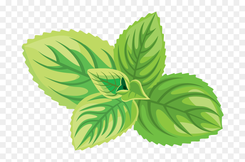 Herb Icon, HD Png Download - tea png
