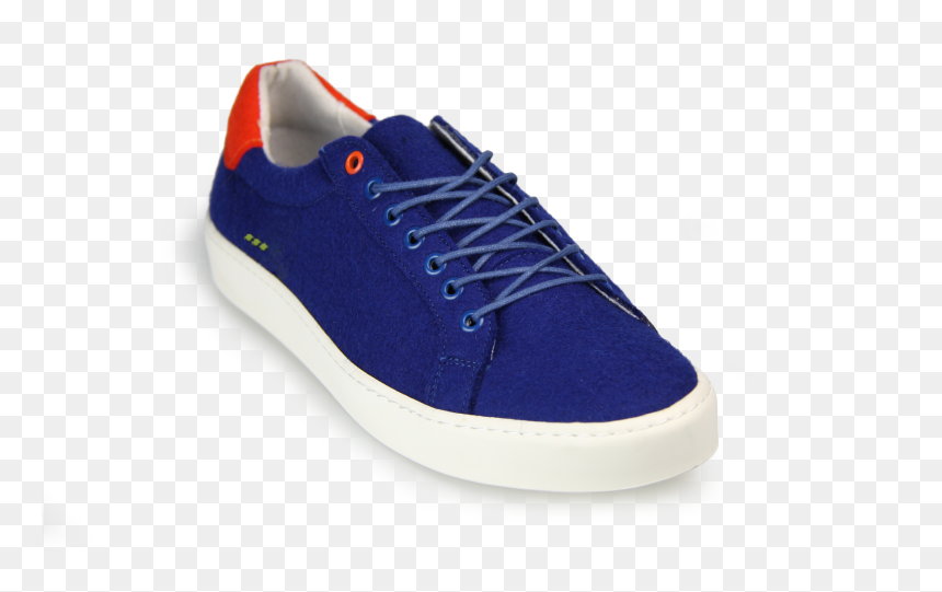 Skate Shoe, HD Png Download - shoes png