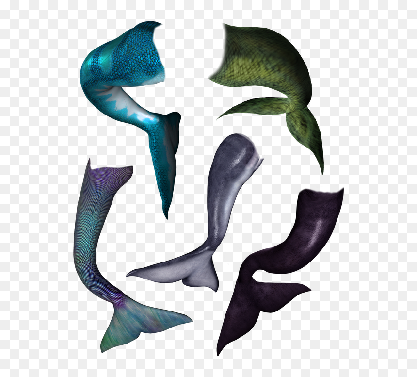 Dolphin Mermaid Tail, HD Png Download - mermaid tail png