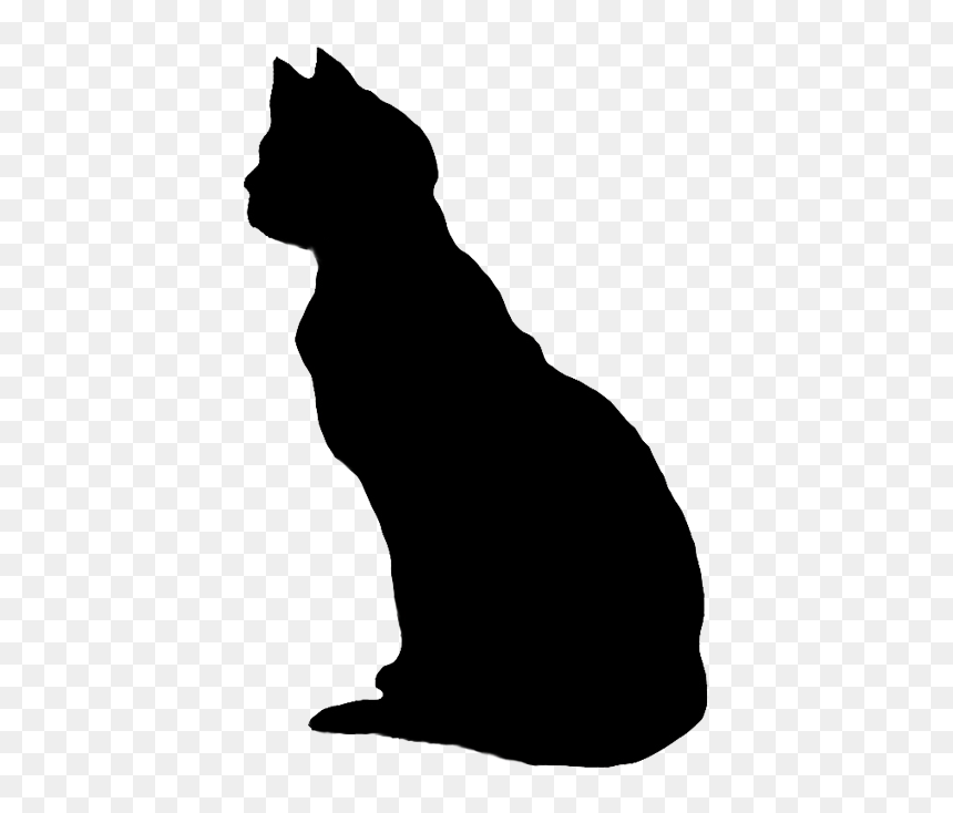 Black Cat Clipart Transparent Background, HD Png Download - scratches png