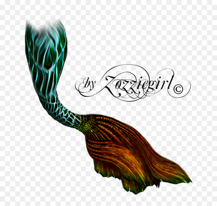Png Mermaid Tails, Transparent Png - mermaid tail png