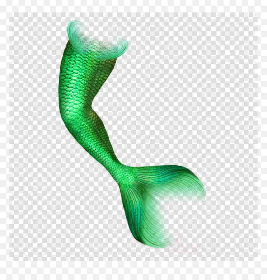 Crescent Moon Icon Transparent, HD Png Download - mermaid tail png