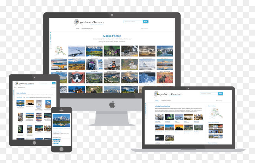Screenshot, HD Png Download - website png