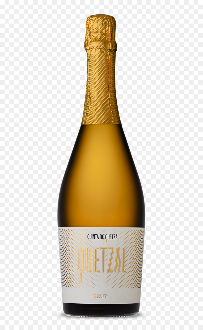 Champagne, HD Png Download - quetzal png