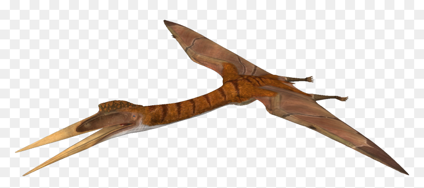 The Isle Wikia, HD Png Download - quetzal png