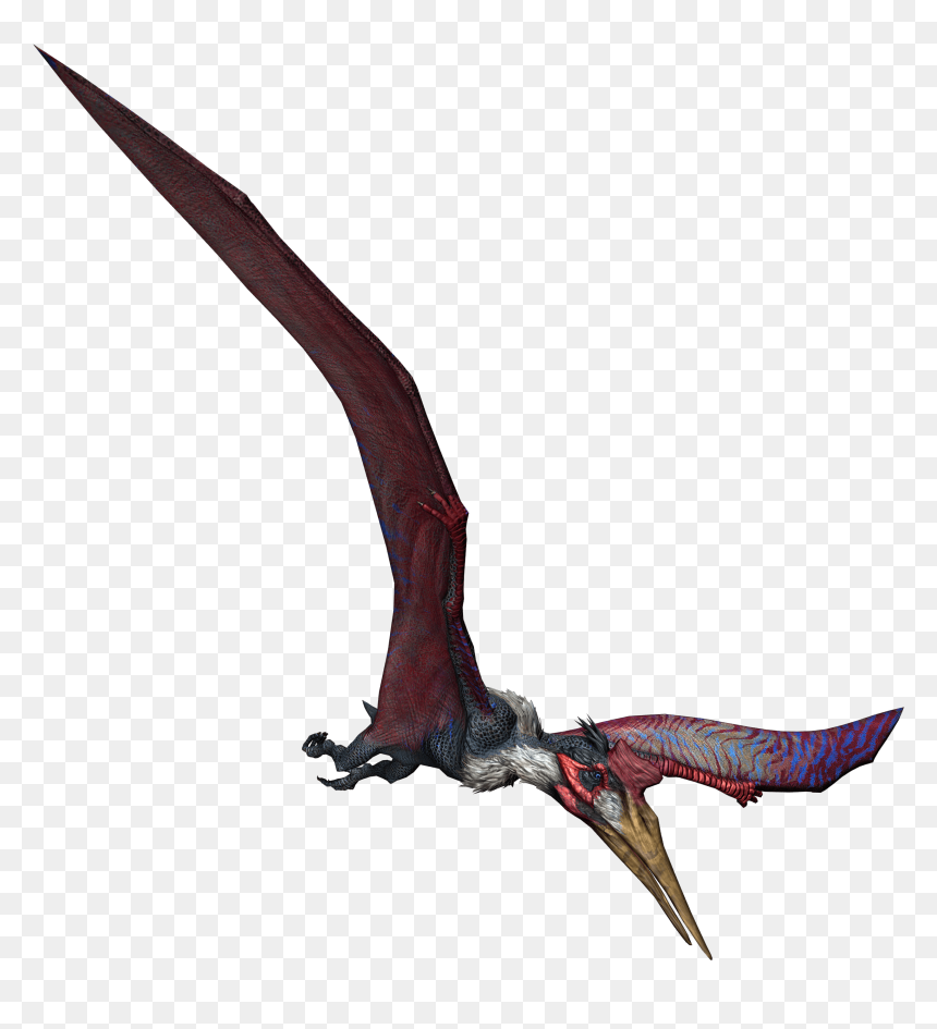 Cartoon, HD Png Download - quetzal png