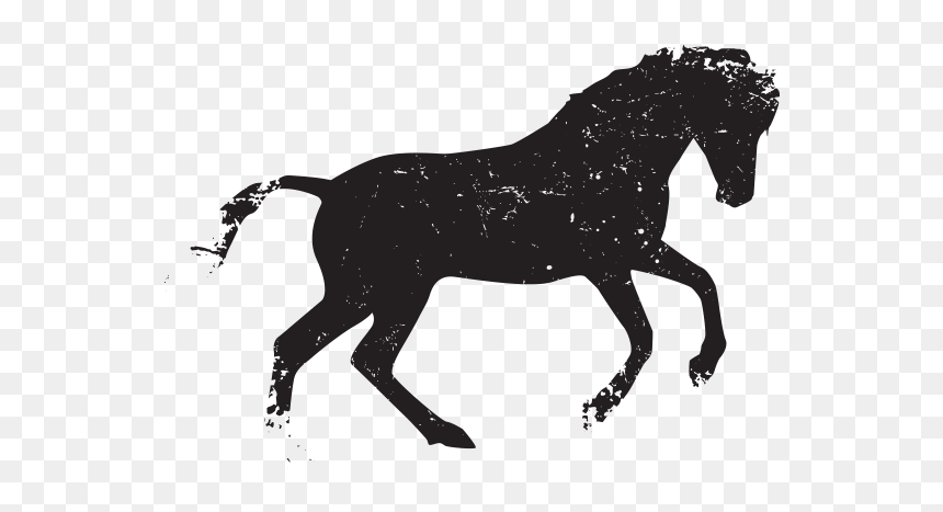 Thumb Image - Horse Vector Free Png, Transparent Png - horse vector png