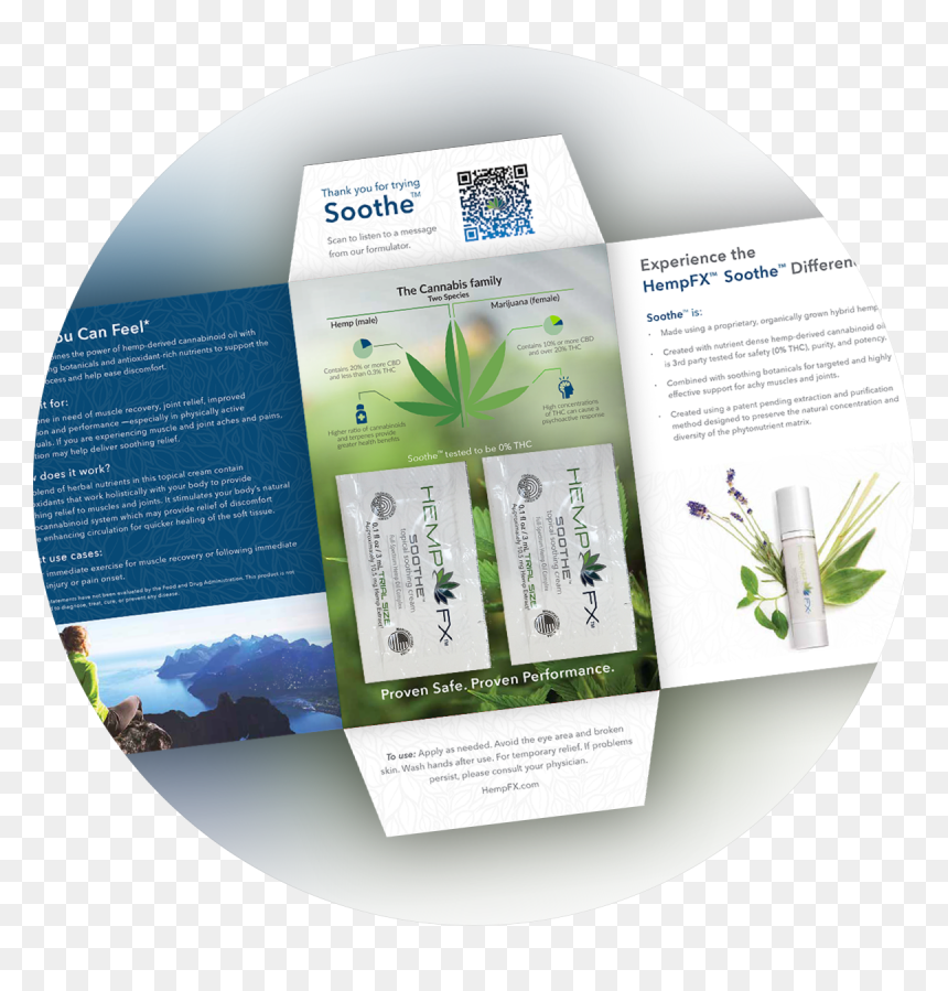 Youngevity Logo Png , Png Download - Brochure, Transparent Png - youngevity logo png