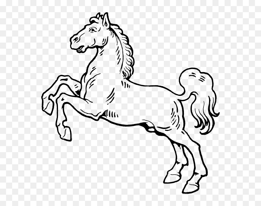 Horse In Black And White, HD Png Download - horse vector png