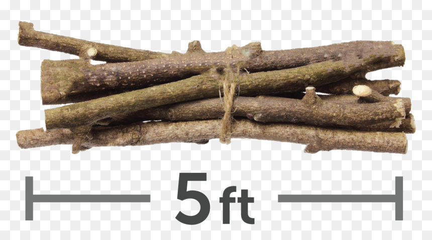 5 Ft Limbs - Stock Photography, HD Png Download - pile of trash png