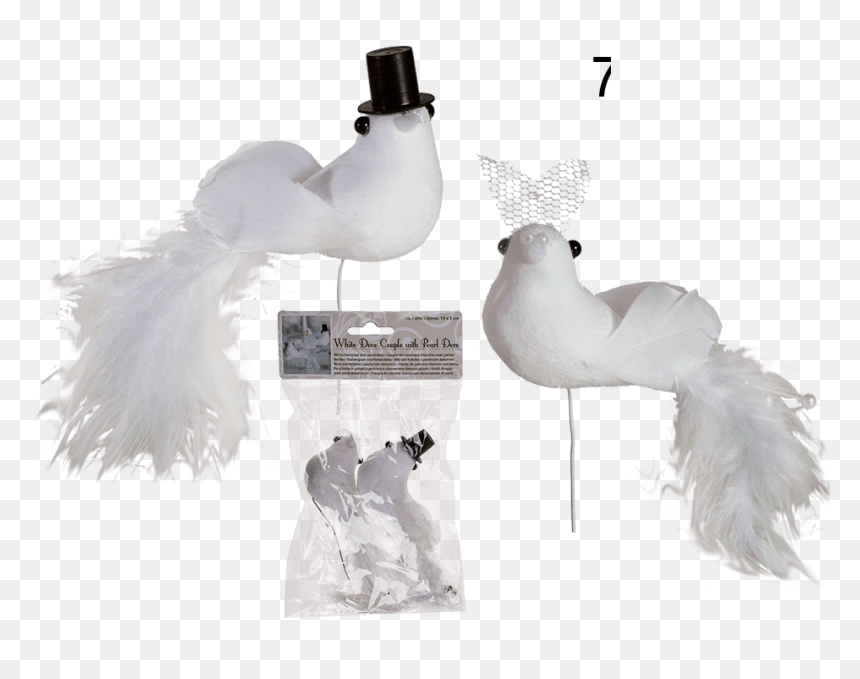 Rock Dove, HD Png Download - palomas blancas png