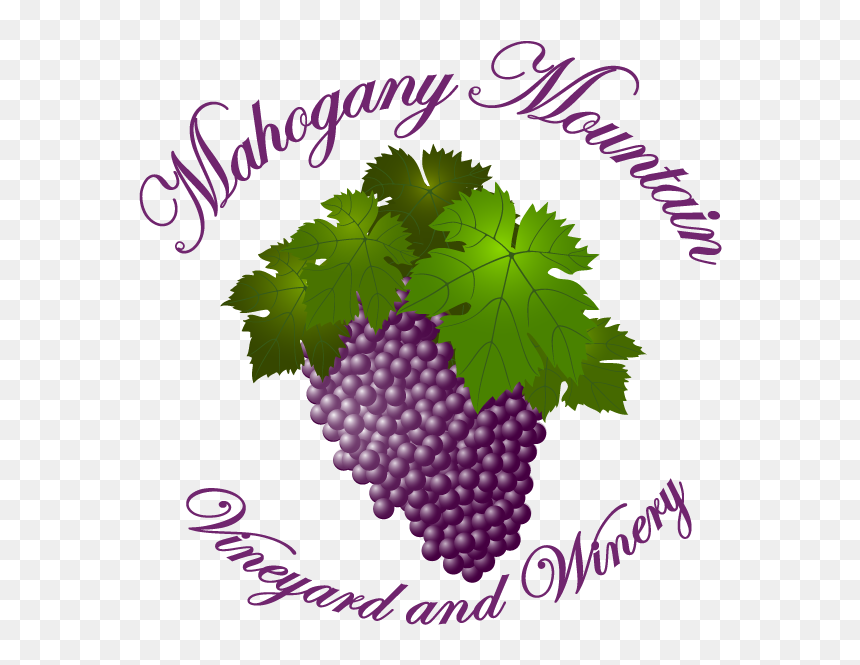 Mahogany Mountain Vineyard And Winery - Mahogany Mountain Vineyard, HD Png Download - vineyard png