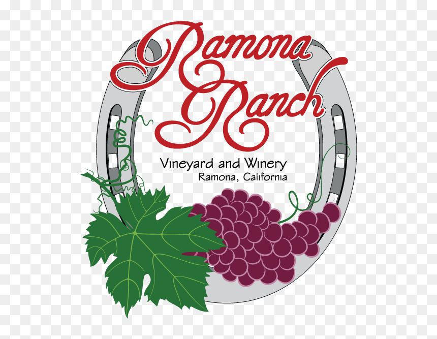 Ramona Ranch - Illustration, HD Png Download - vineyard png
