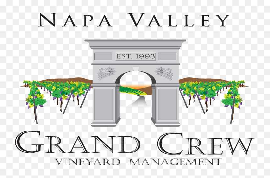 Superior Napa Vineyard Management - Illustration, HD Png Download - vineyard png