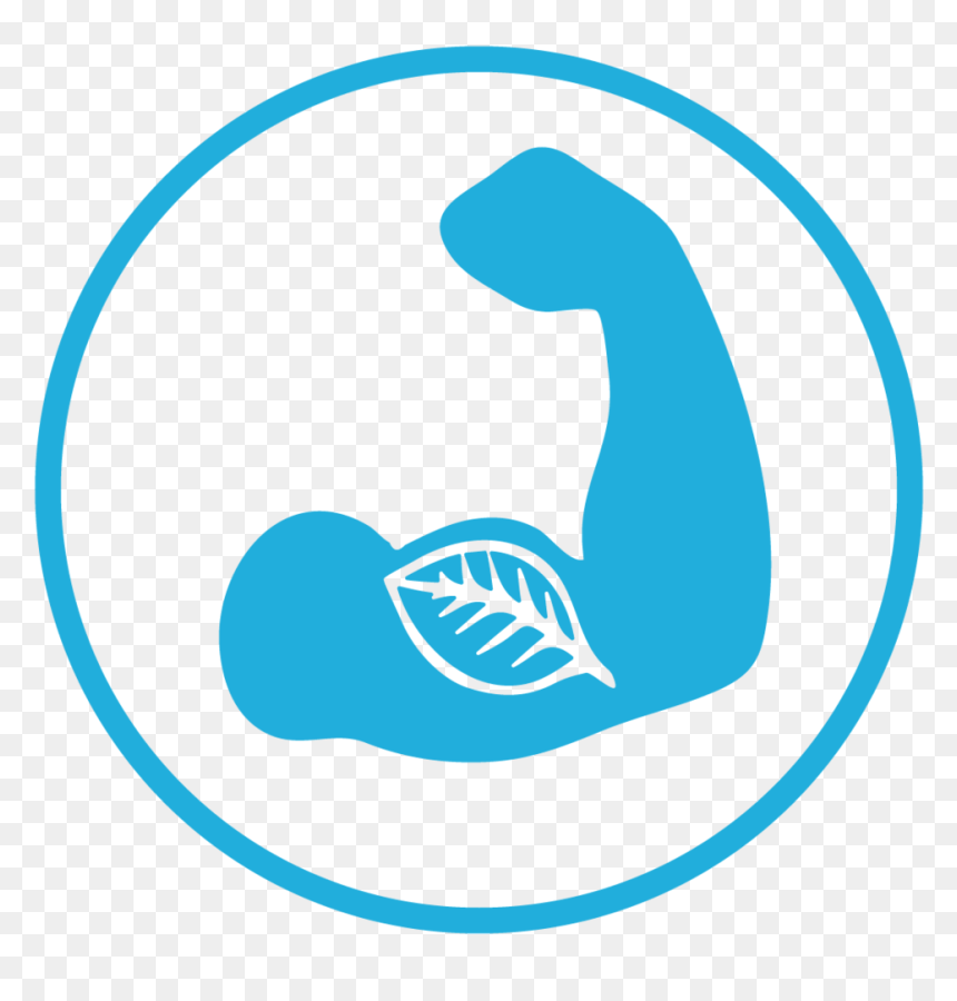 Ycl Icon 5, HD Png Download - 5.png