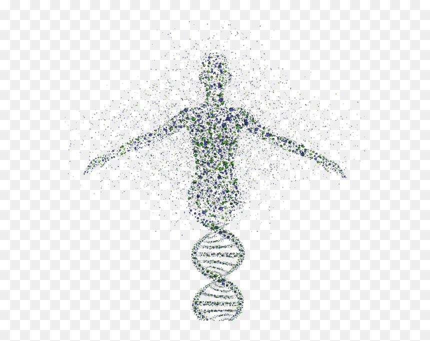 Human Form Dna, HD Png Download - genes png