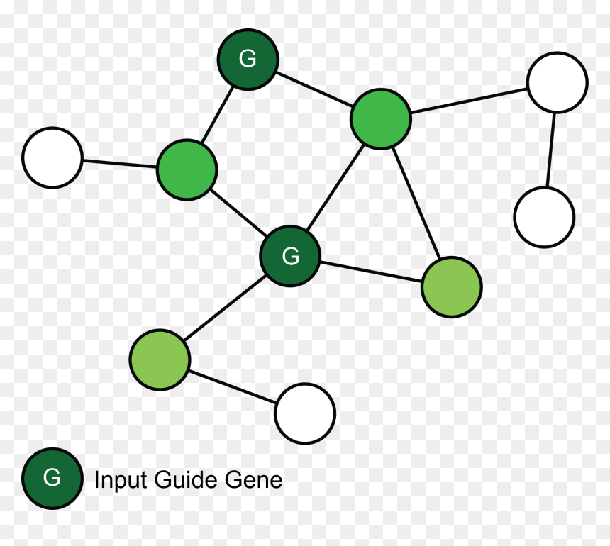 Circle, HD Png Download - genes png
