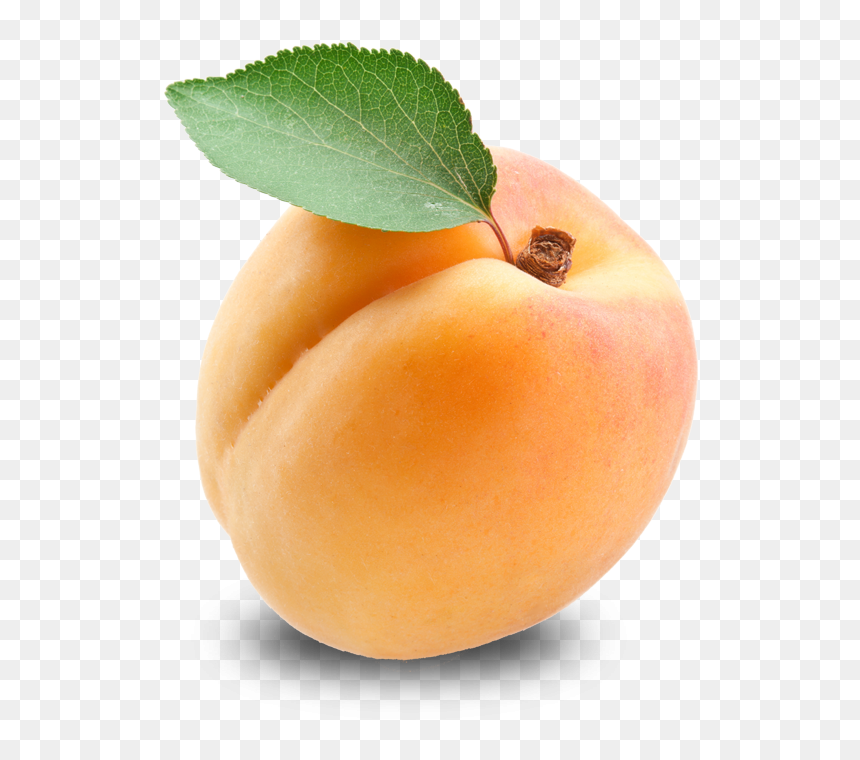 Download Apricot Free Download Png - Apricot Png, Transparent Png - bien png