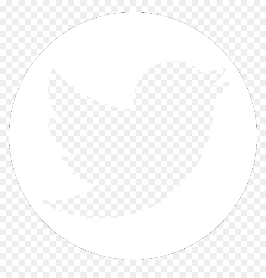 User Email Preferences Success For All Foundation Inc, HD Png Download - twitter circle png