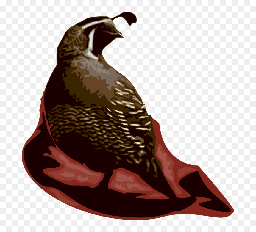 Vector Illustration Of Quail Bird Farm-raised For Table - Quail, HD Png Download - quail png