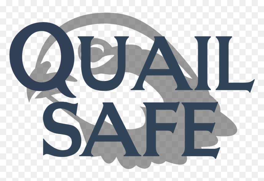Calligraphy, HD Png Download - quail png