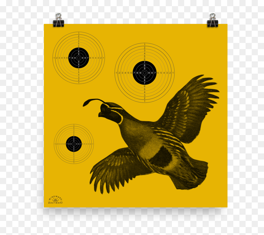 Quail Target - Rock Dove, HD Png Download - quail png