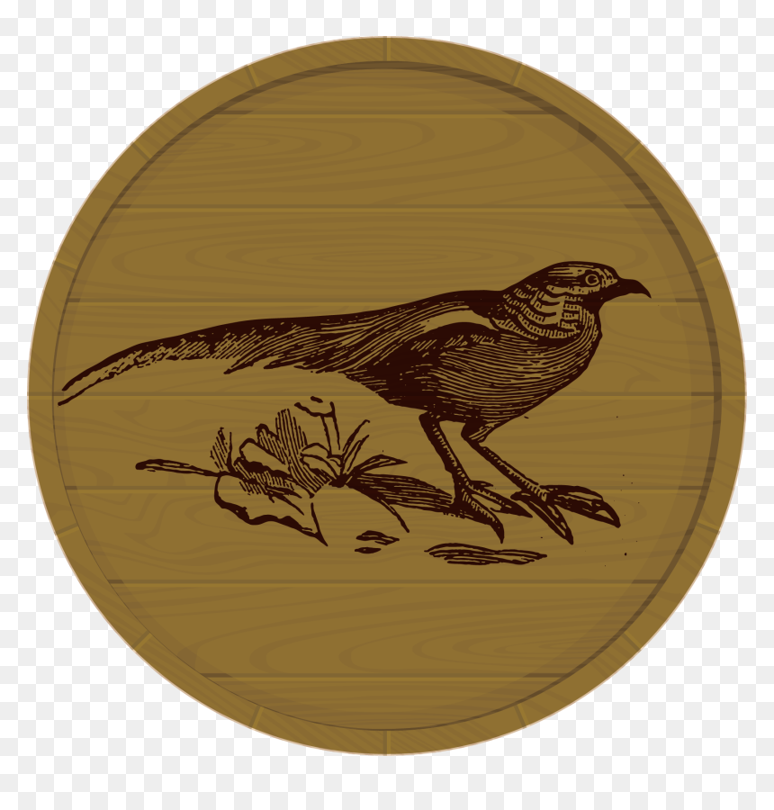 Quail, HD Png Download - quail png