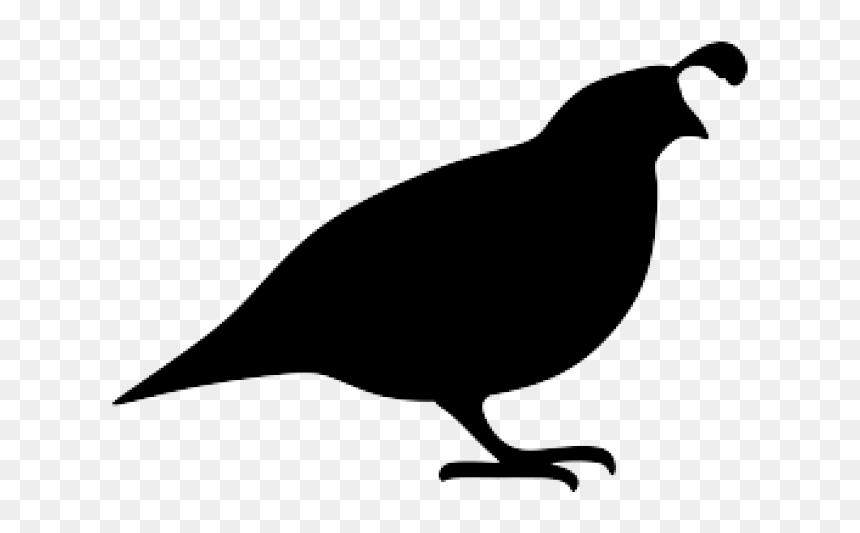 Quail Clipart Silhouette, HD Png Download - quail png