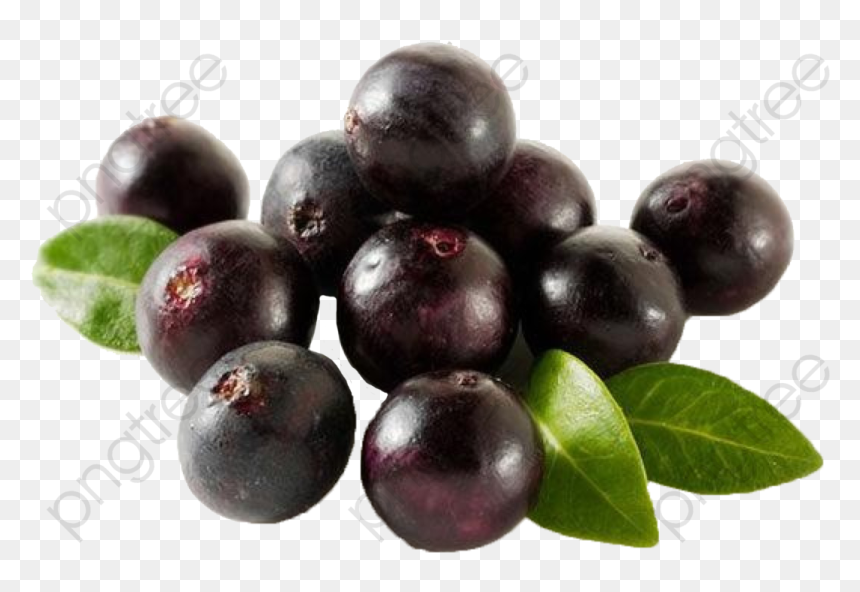 Transparent Black Acai Palm Fruit Png Format Image - Acai Berry Png Transparent, Png Download - acai png