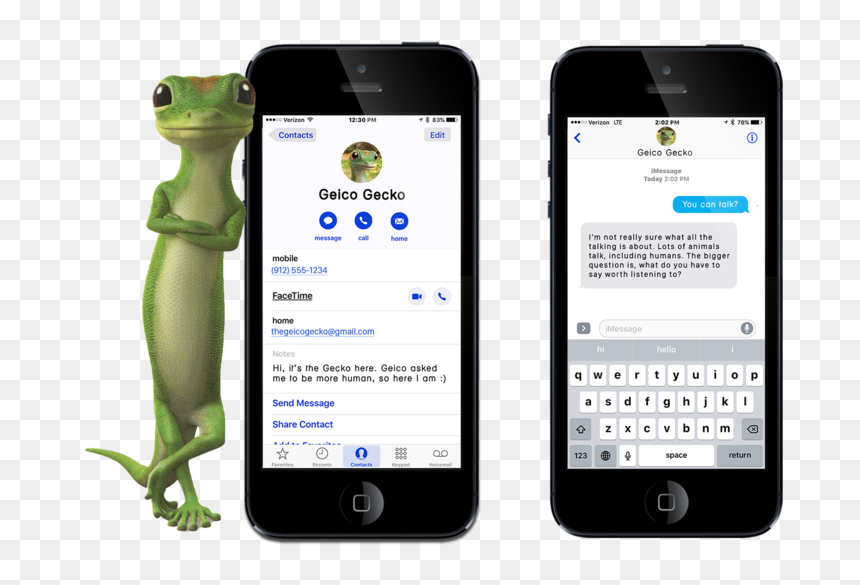 Contact, HD Png Download - geico png