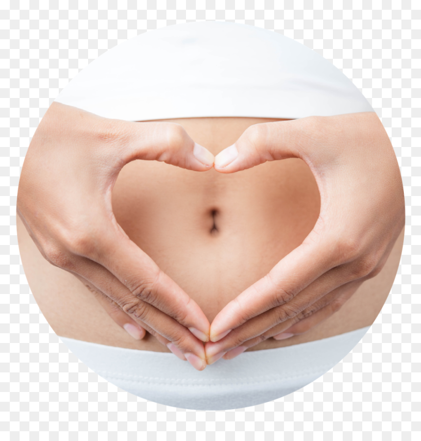 Feeling Healthy, HD Png Download - colon png